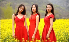 掀开奶罩边躁狠狠躁学生的小文字